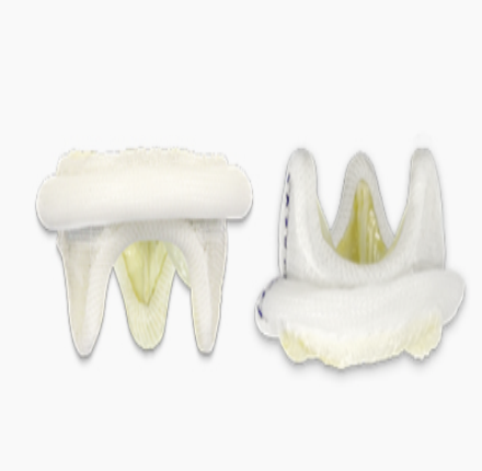 佰迈思® 人工生物心脏瓣膜（猪主动脉瓣）